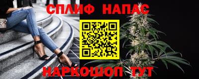 a pvp Дубна
