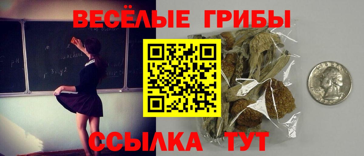 Мариинск  купить наркотики сайты  Вход с VPN  Псилоцибиновые грибы мухоморы 