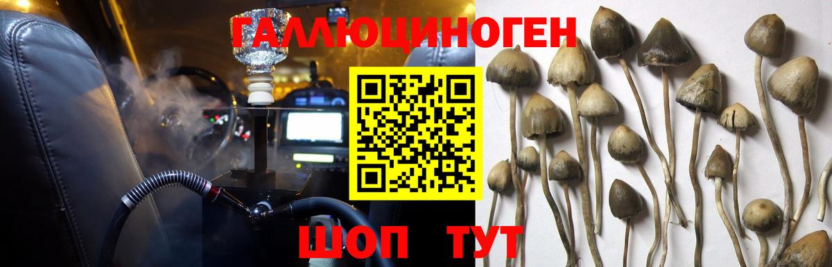 Галлюциногенные грибы GOLDEN TEACHER Мариинск